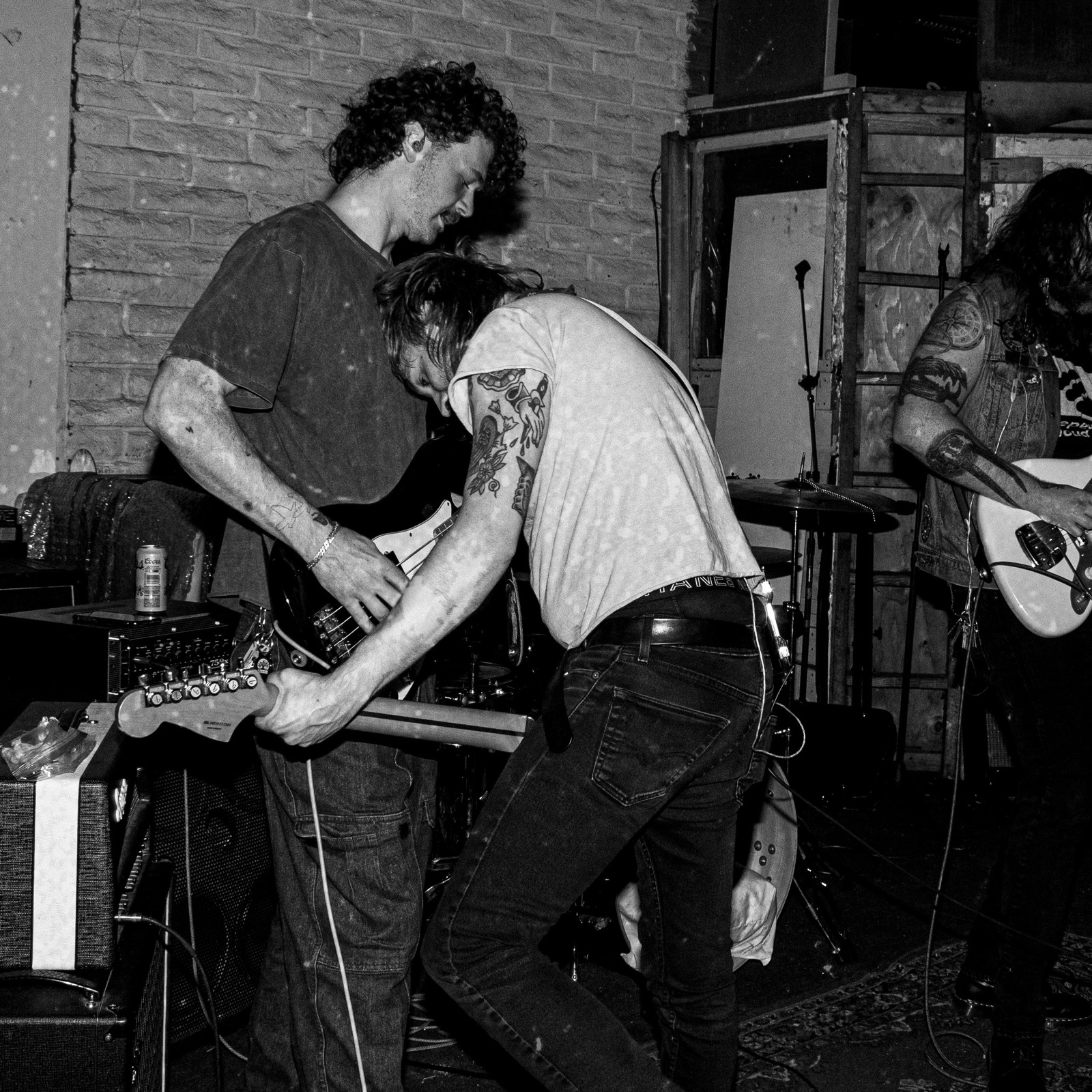 Molly Horses, candid
