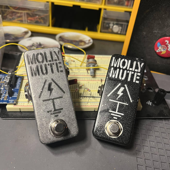 The Molly Mute Momentary Mute Pedal